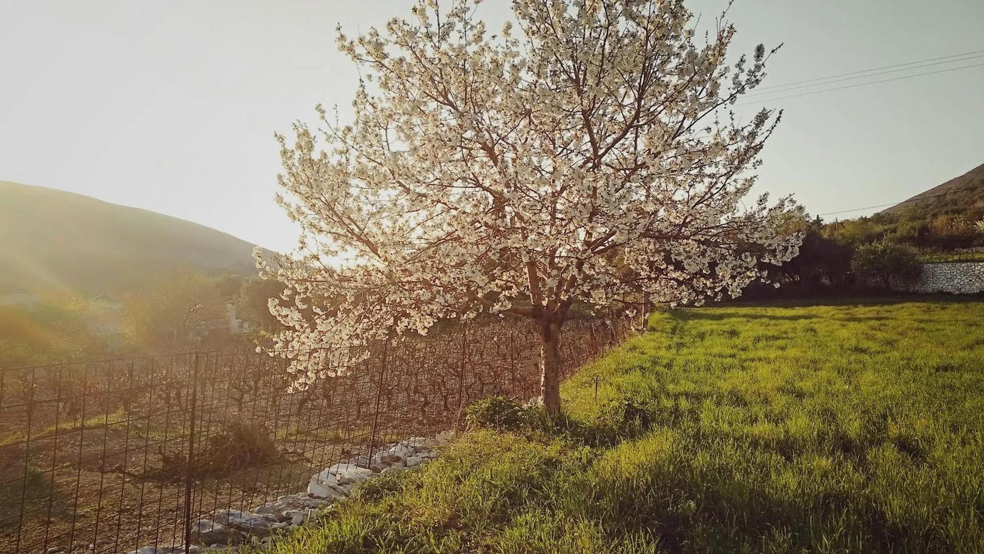 Cephalonian Countryside Villa Divarata 0*,  Grekland